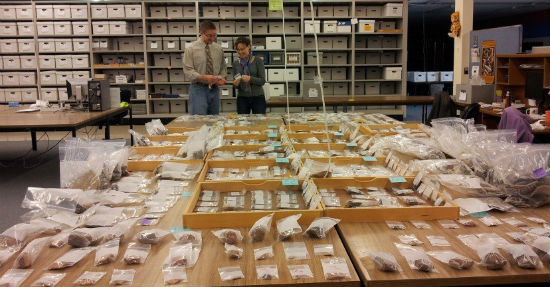 Curation pieces being cataloged