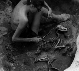 dog burial excavation